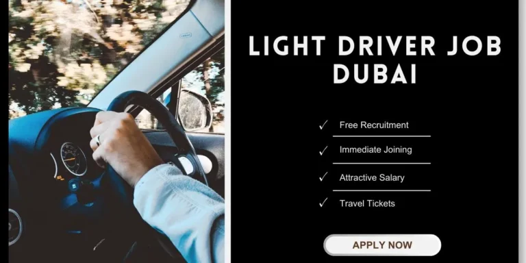 Light Driver Job in Dubai